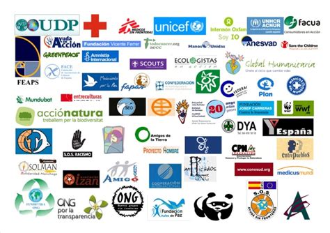 03.11. ONGs por tipo de actividad | lasolidaridadunbuenremedio.com