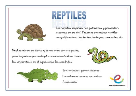 06 Reptiles
