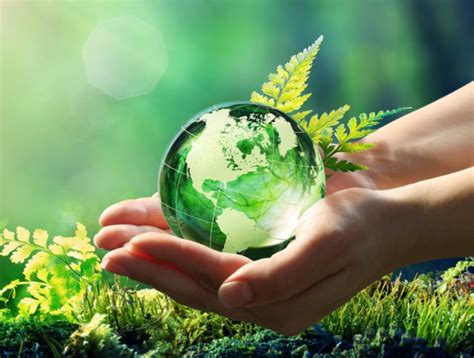 1.000 normas UNE ayudan a proteger el medio ambiente