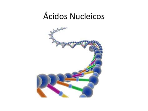 1. ácidos nucleicos