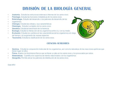 1. División, ramas y campos de acción de la Biología ...