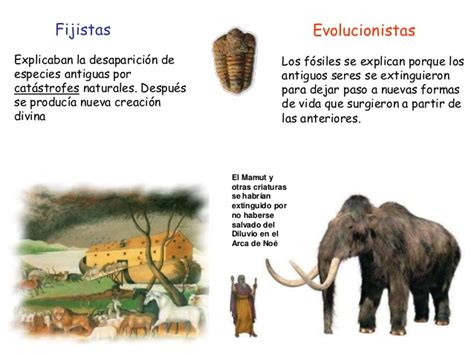 1.fijismo y precursores del evolucionismo
