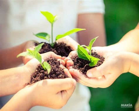 10 acciones para cuidar el medio ambiente   Makía