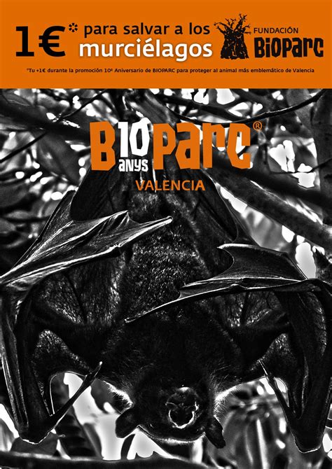 10º Aniversario BIOPARC Valencia: campaña para salvar a ...
