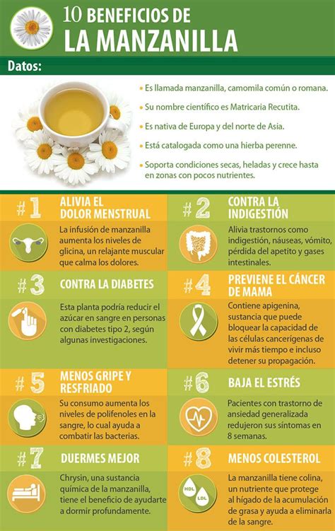 10 Beneficios de la manzanilla para nuestro cuerpo | salud ...