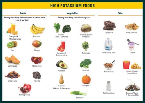 10 Best Potassium Rich Foods List Printable   printablee.com