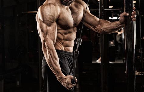 10 Best Tricep Exercises & Workouts for Men | Man of Many