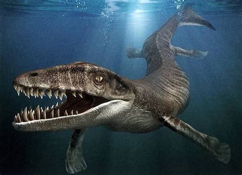10 Biggest Water Dinosaurs & Sea Monsters Ever Found In ...