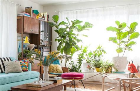 10 Cheerful living room ideas with plants   Covet Edition