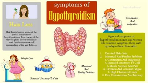 10 Common Signs And Symptoms Of Hypothyroidism In Men And ...