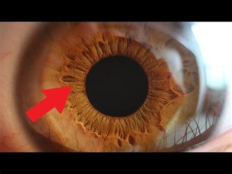 10 curiosidades del ojo humano   YouTube