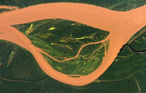 10 curiosidades sobre el Amazonas, el río de los excesos ...