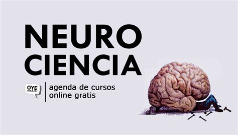 10 cursos online gratis de Neurociencia | Oye Juanjo!