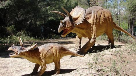10 Datos Curiosos sobre los Dinosaurios Epic Publishiing