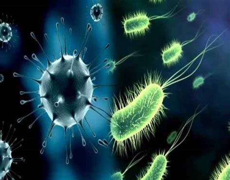 10 datos sobre las bacterias