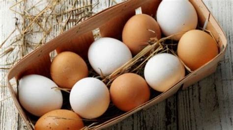 10 Different Types Of Edible Eggs   NDTV Food