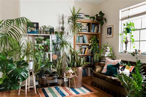 10 Excellent Ideas To Display Living Room Indoor Plants