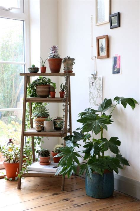 10 Excellent Ideas To Display Living Room Indoor Plants