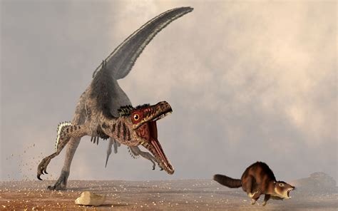 10 Facts About the Velociraptor Dinosaur