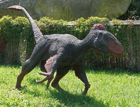 10 Facts About Utahraptor, the World s Biggest Raptor