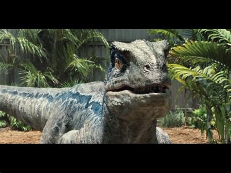 10 Facts: Velociraptor   YouTube