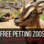 10 Fall Family Fun Things To Do in Lancaster County ...