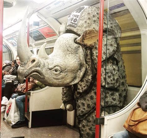 10 fotos de las cosas más raras vistas en el metro