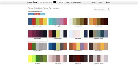 10 Generadores de paleta de colores Gratuitos – Sandlemon