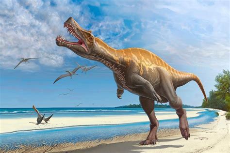 10 hechos más importantes sobre dinosaurios   Conocimiento ...