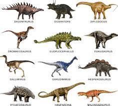 10 ideas de Dinosaurio | dinosaurios, dinosaurios imagenes, animales ...