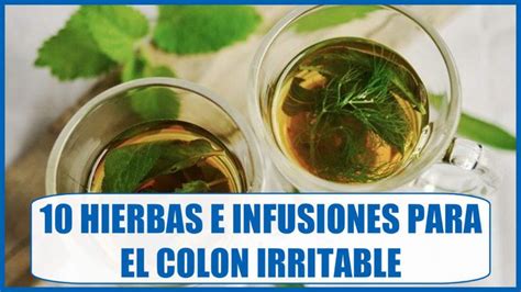 10 Infusiones y Hierbas Medicinales para combatir el Colon Irritable ...