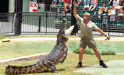 10 Interesting Facts about Steve Irwin | 10 Interesting Facts