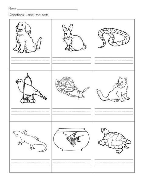 10+ Kindergarten Worksheet Pets | Pets preschool theme, Pets preschool ...
