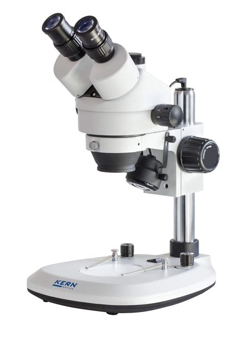 10 Mejores Microscopio Electronico Nucleo Y Reticulo |  2020