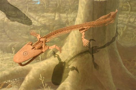 10 mitos sobre la extinción de los dinosaurios