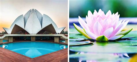 10 Nature Inspired Architectural Masterpieces