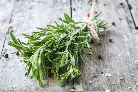 10 plantas medicinales comestibles que debes tener en tu ...