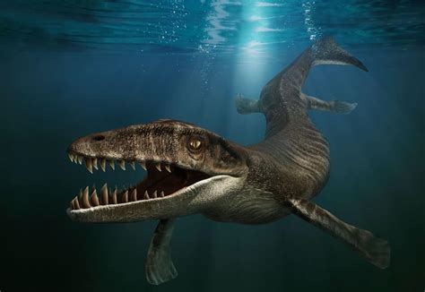 10 Prehistoric Sea Creatures We re Thankful Are Extinct