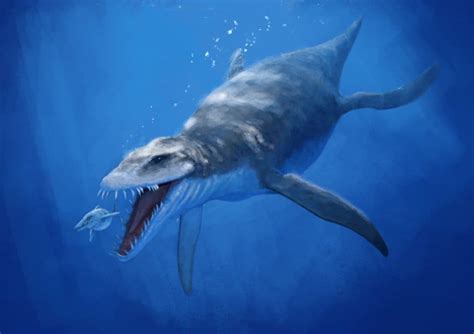 10 Prehistoric Sea Creatures We re Thankful Are Extinct