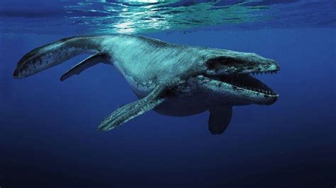 10 Prehistoric Sea Creatures We re Thankful Are Extinct   Page 5 of 5
