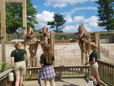 10 Questions with a Keeper | Elmwood Park Zoo