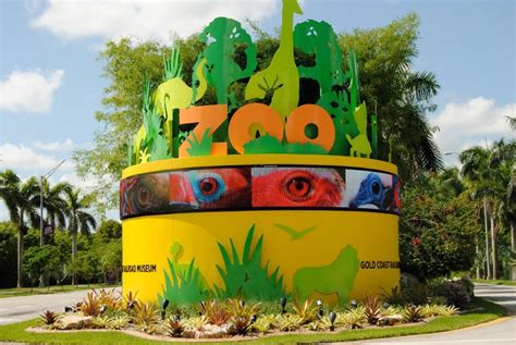 10 Things You Didn t Know about the Miami Zoo