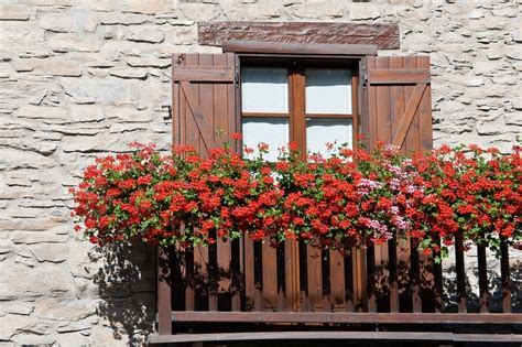 10 Tips to Start a Balcony Flower Garden | Balcony Garden ...