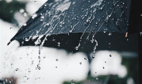 100 Frases de Lluvia | Un fenómeno simbólico e inspirador [Con Imágenes]