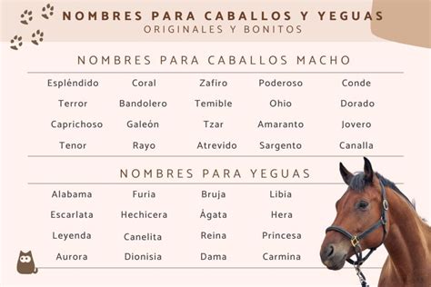 100 nombres de caballos machos