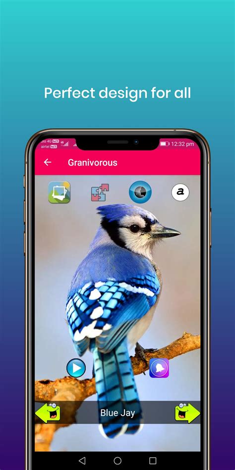 100 sonidos de pájaro for Android   APK Download