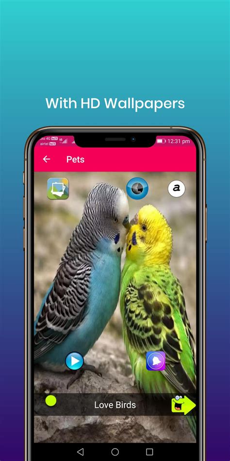 100 sonidos de pájaro for Android   APK Download