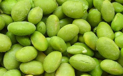 100+ SoyBean seeds! Sweet Edible Soya Beans Natural Non ...