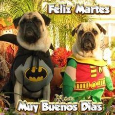 1000+ images about Martes: Saludos y Buenos Deseos on ...