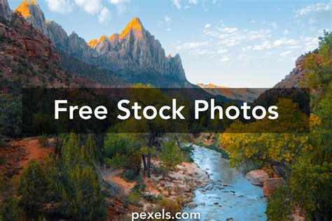 10,000+ Best Nature Images · 100% Free Download · Pexels ...